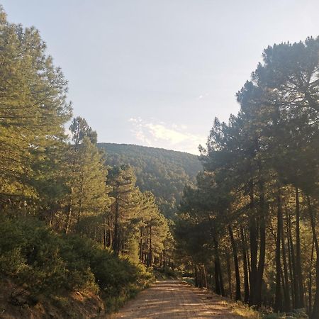 Vila Bonita Casa En El Bosque - El Tiemblo Exteriér fotografie