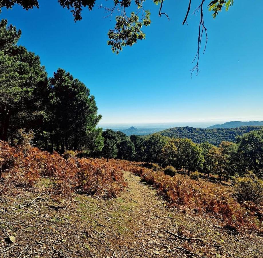 Vila Bonita Casa En El Bosque - El Tiemblo Exteriér fotografie