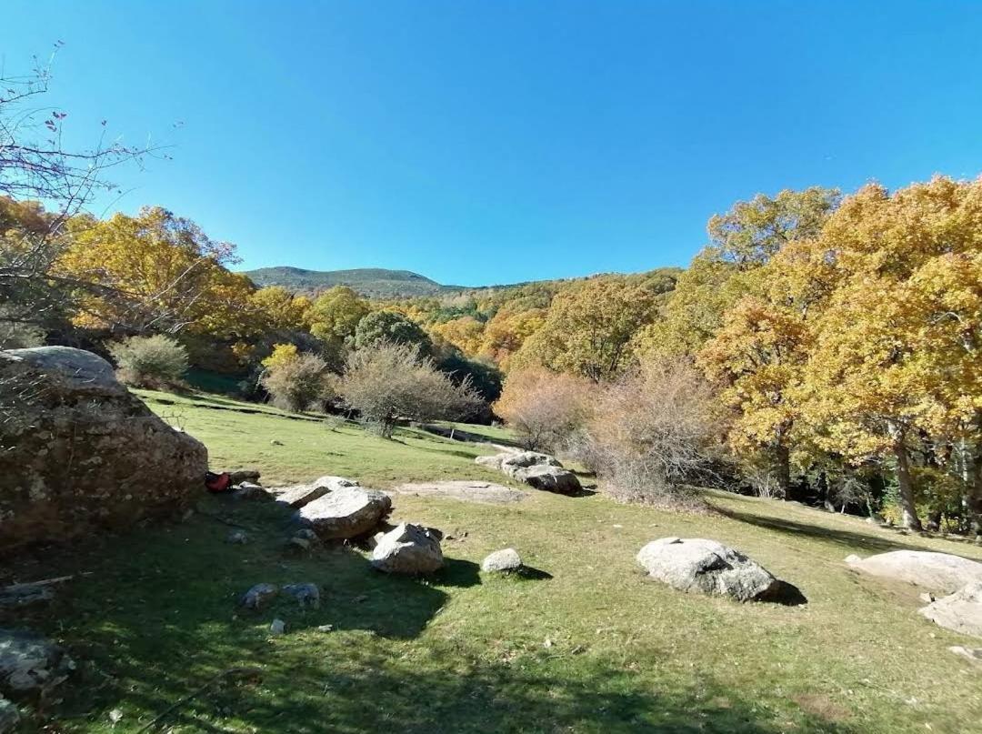 Vila Bonita Casa En El Bosque - El Tiemblo Exteriér fotografie