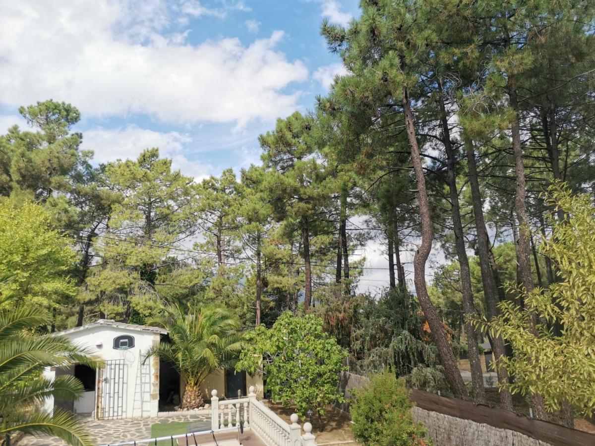 Vila Bonita Casa En El Bosque - El Tiemblo Exteriér fotografie