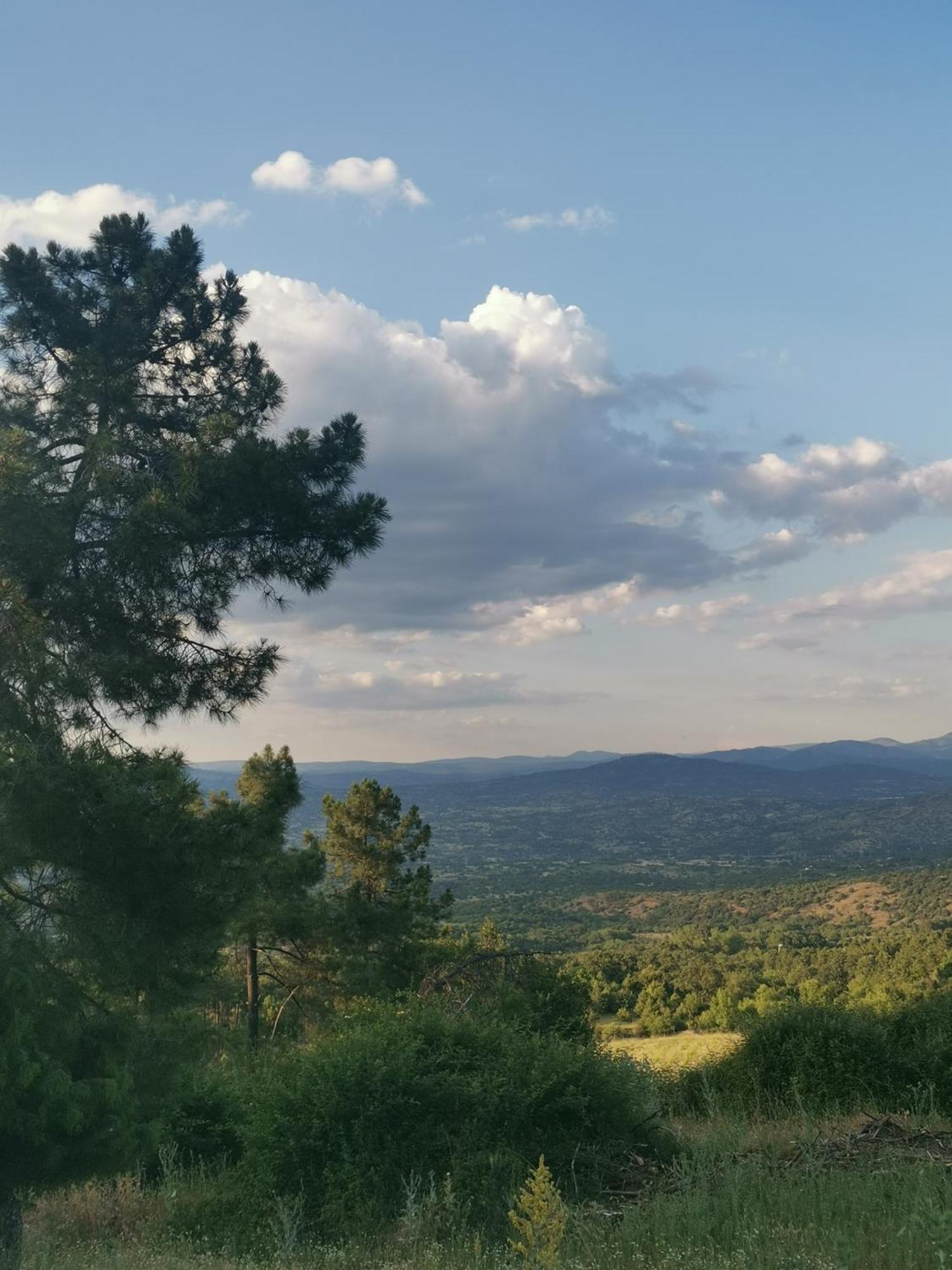 Vila Bonita Casa En El Bosque - El Tiemblo Exteriér fotografie