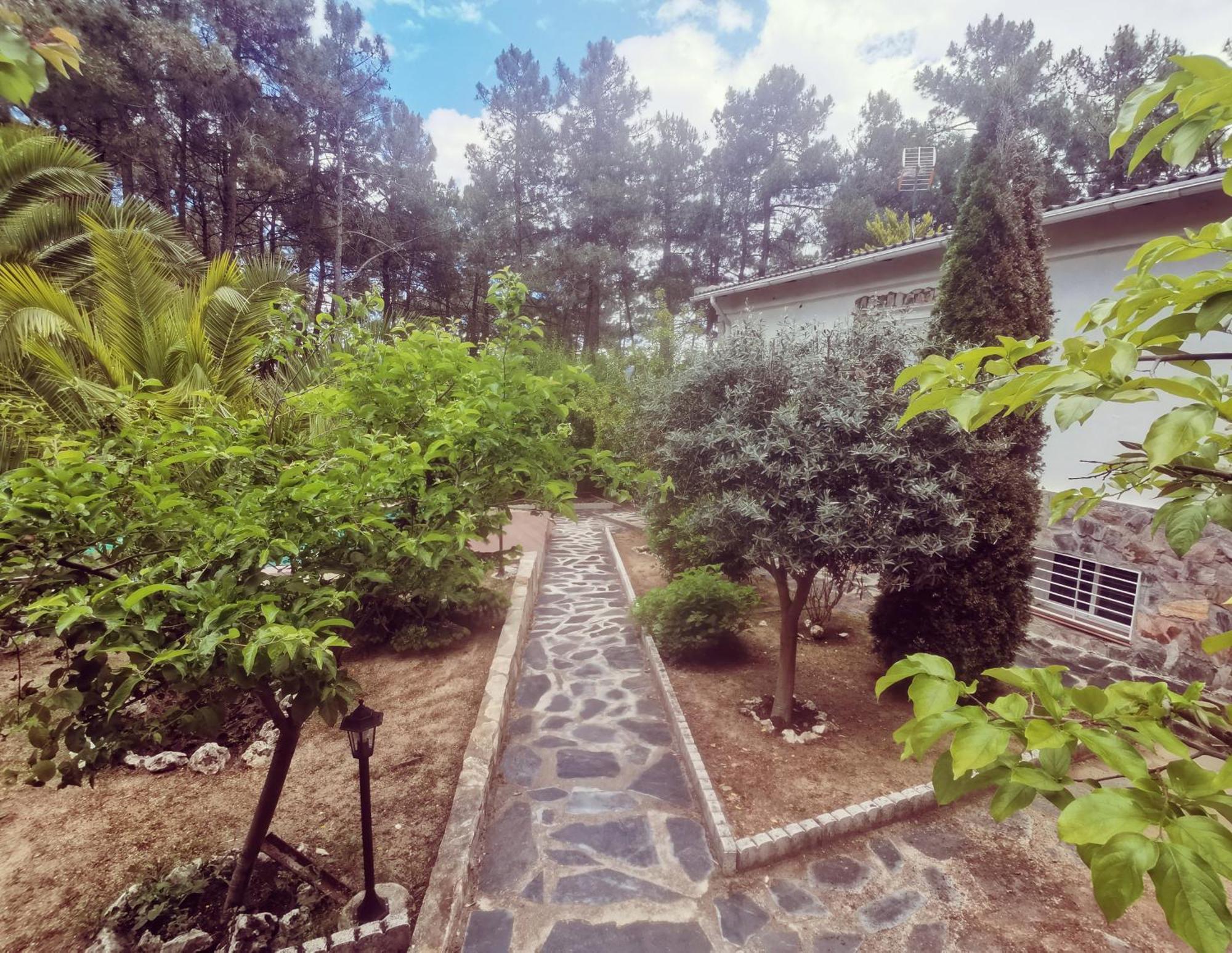 Vila Bonita Casa En El Bosque - El Tiemblo Exteriér fotografie